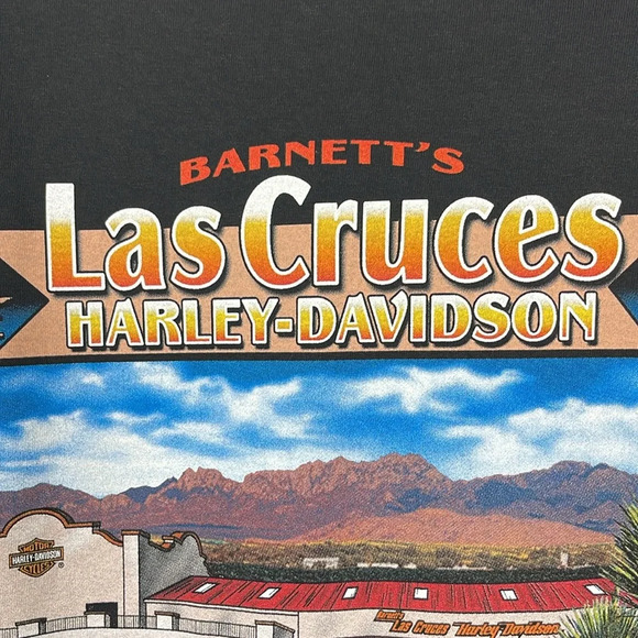 Harley Davidson Men’s T-Shirt, Brother Ride,2008 Sz- 2X - Picture 7 of 12